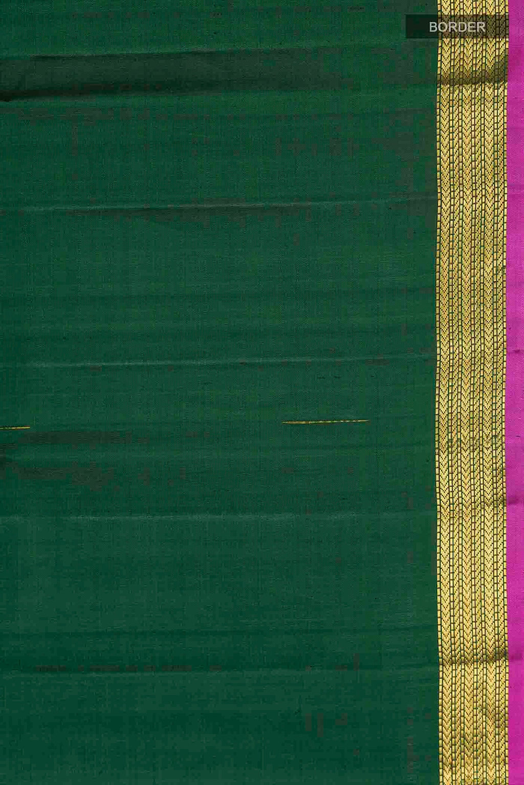 Border image of Green Kanchipuram Silk Saree with Zari Butta on the body and Zari Border