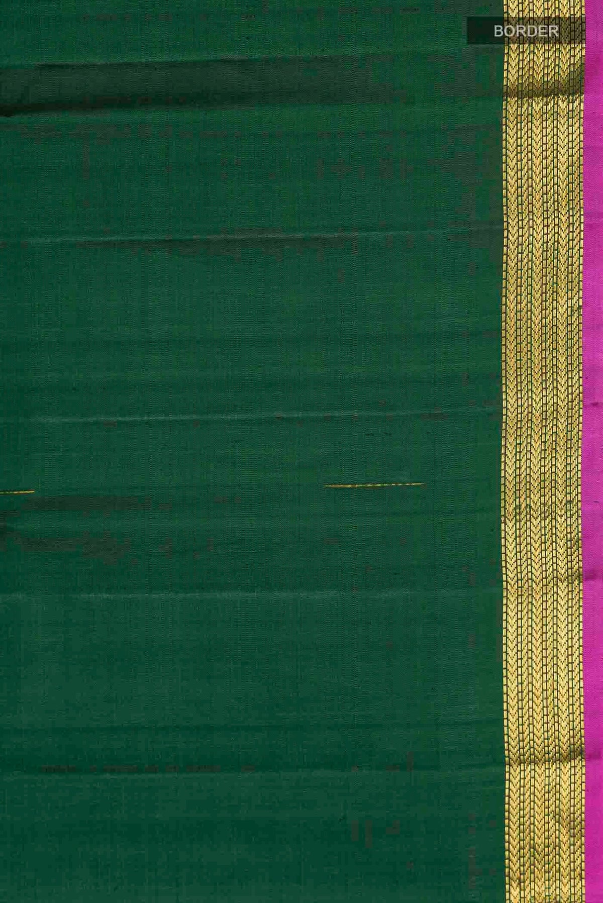 Border image of Green Kanchipuram Silk Saree with Zari Butta on the body and Zari Border