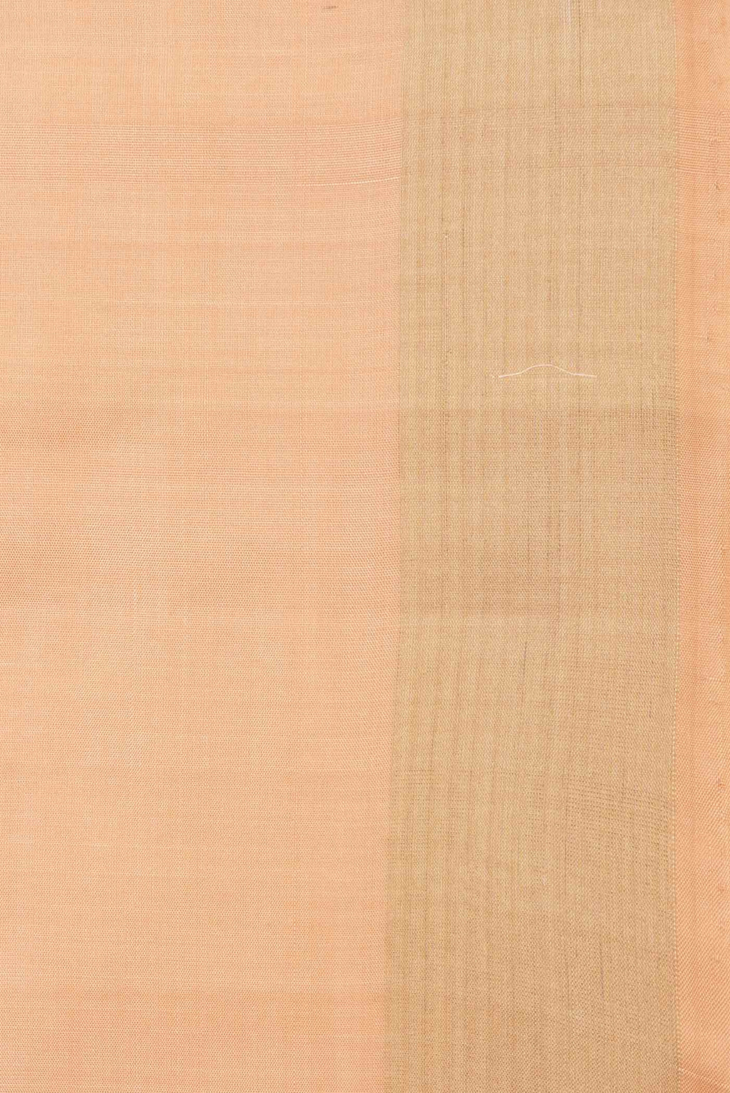 Border image of Beige Dual Tone Soft Silk Saree with Zari Butta on the body and Zari Border