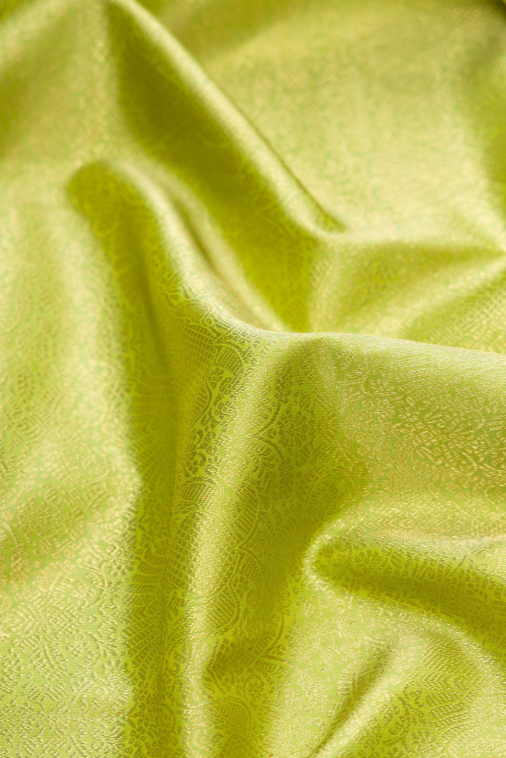 Close up of Pure Silk Pure Zari Light Green Dual Tone Kanjivaram Saree with Zari Brocade on the body and Zari Border.  displaying folds