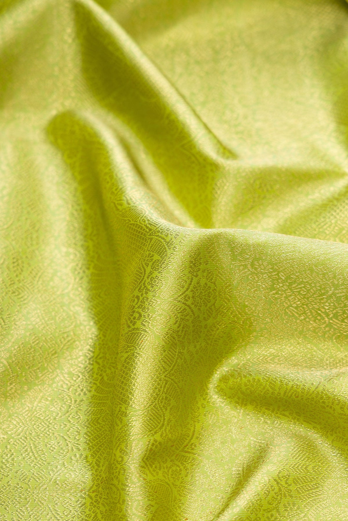 Close up of Pure Silk Pure Zari Light Green Dual Tone Kanjivaram Saree with Zari Brocade on the body and Zari Border.  displaying folds