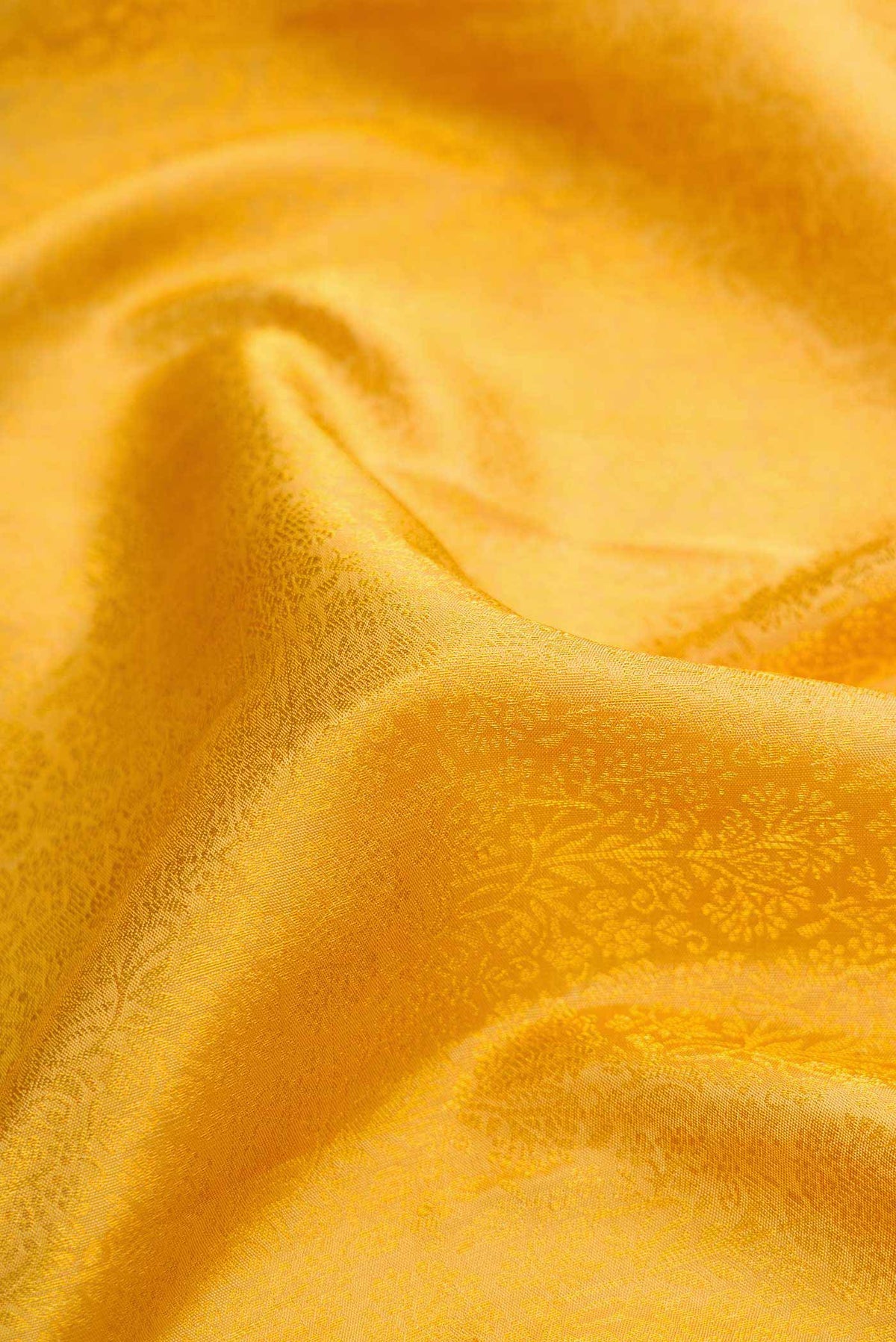 Close up of Gold Dual Tone Kanjivaram Silk Saree with Zari Brocade on the body and Zari Border.  displaying folds