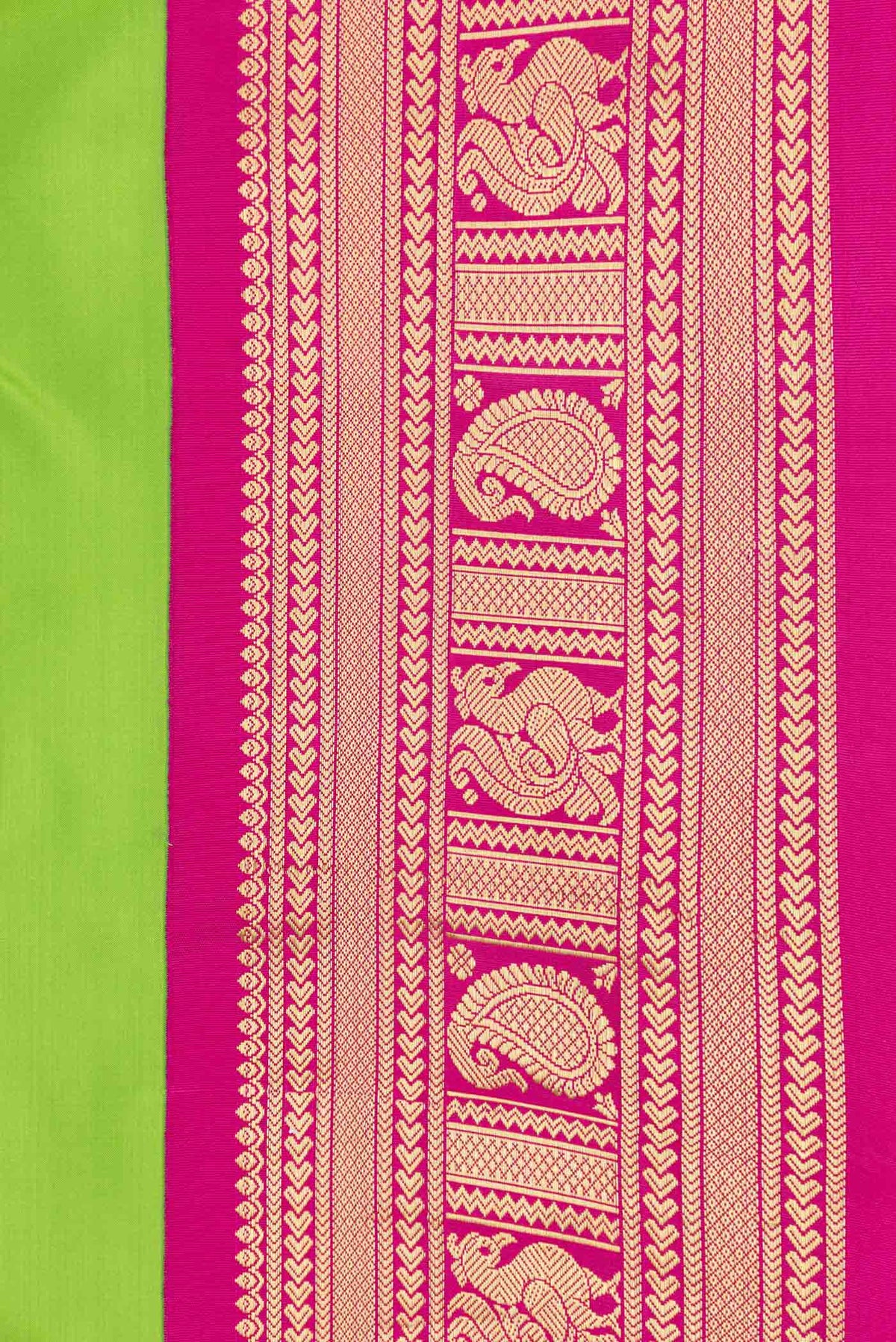 Border image of Parrot Green Dual Tone Kanchipuram Saree with Plain Body and Zari Border. 