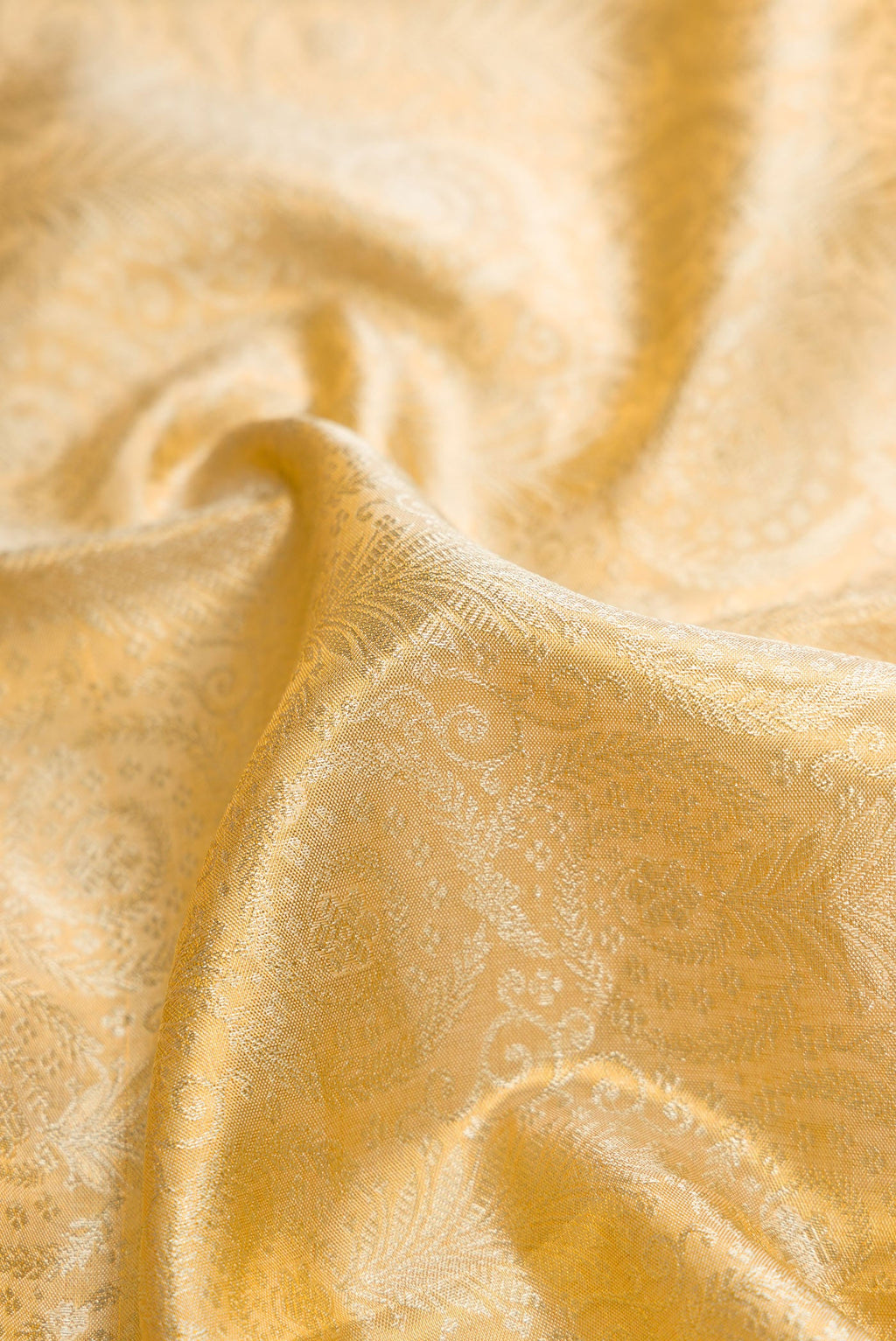 Close up of Gold Dual Tone Kanjivaram Tissue Silk Saree with Zari Brocade on the body and Zari Border.  displaying folds