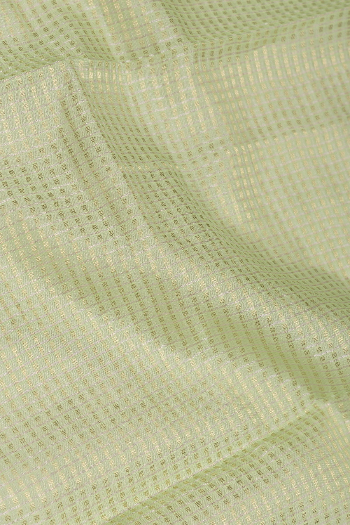 Close up of Pista Green Dual Tone Tussar Silk Saree with Checked design on the body and Zari Border.  displaying folds