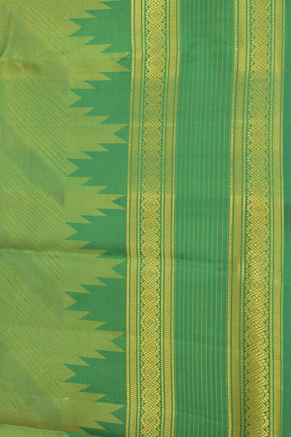 Border image of Green Dual Tone Kanchipuram Silk Saree with Jacquard design on the body and Thread Border. 