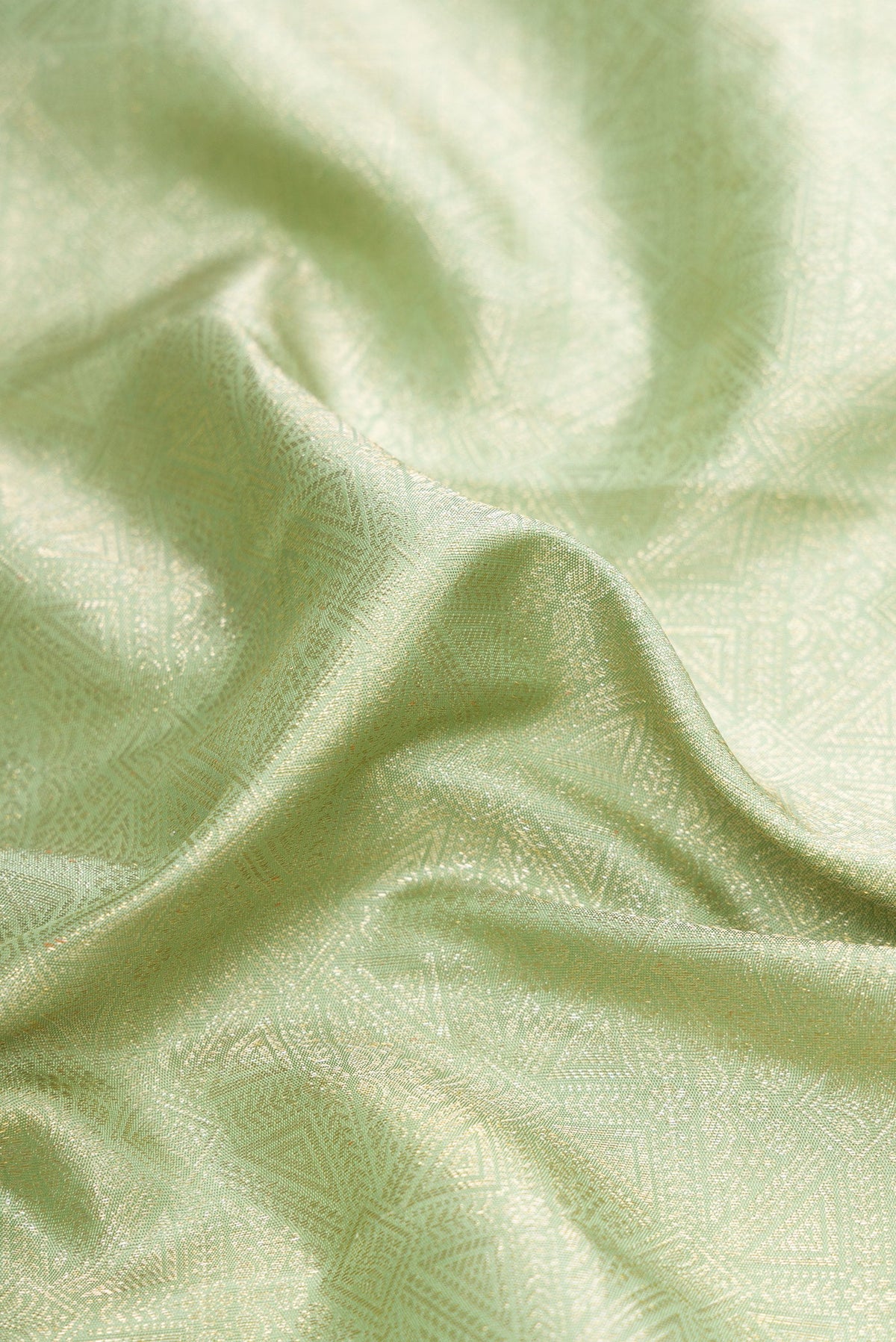 Close up of Light Green Dual Tone Kanchipuram Silk Saree with Zari Brocade on the body and Zari Border.  displaying folds