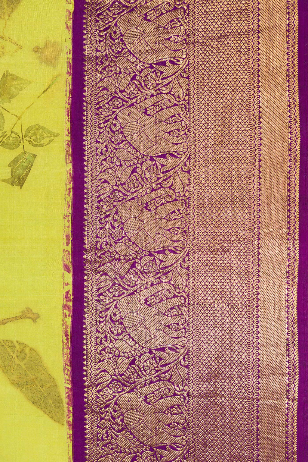 Border image of Parrot Green Dual Tone Kanchipuram Silk Saree with Printed design on the body and Zari Border. 