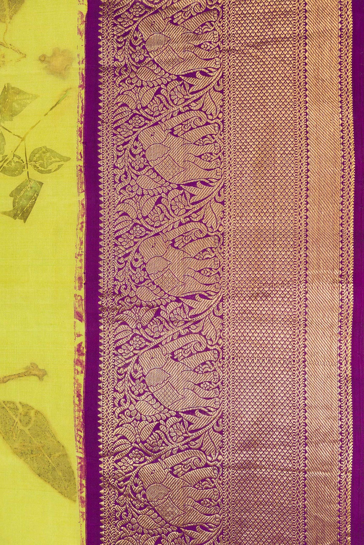 Border image of Parrot Green Dual Tone Kanchipuram Silk Saree with Printed design on the body and Zari Border. 