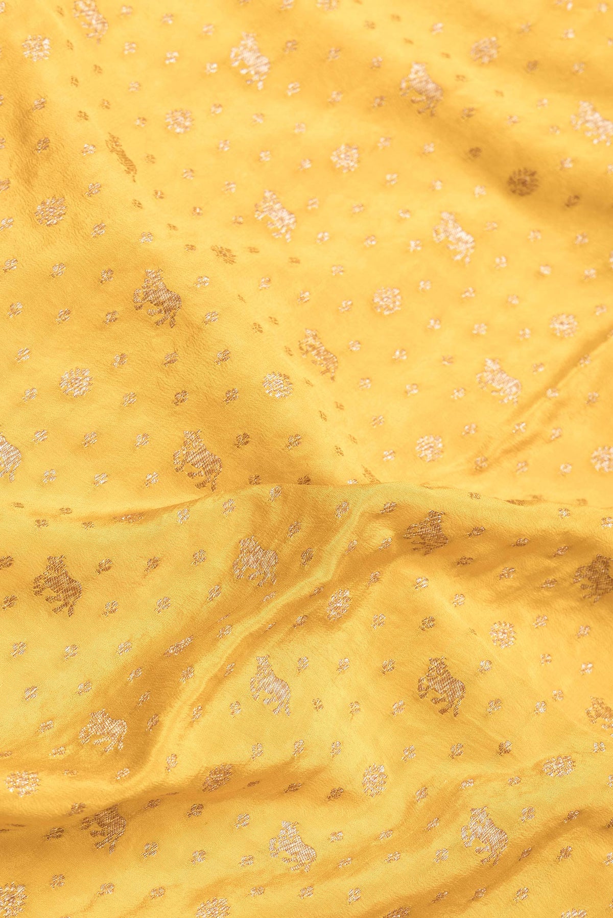 Close up of Yellow Dual Tone Banarasi Georgette Saree with Zari Brocade on the body and Zari Border.  displaying folds