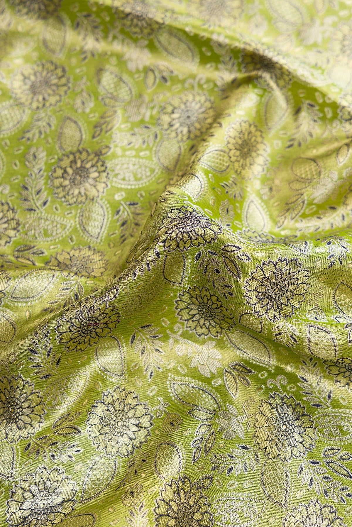 Close up of Pista Green Dual Tone Kanchipuram Tissue Silk Saree with Zari Brocade on the body and Zari Border.  displaying folds