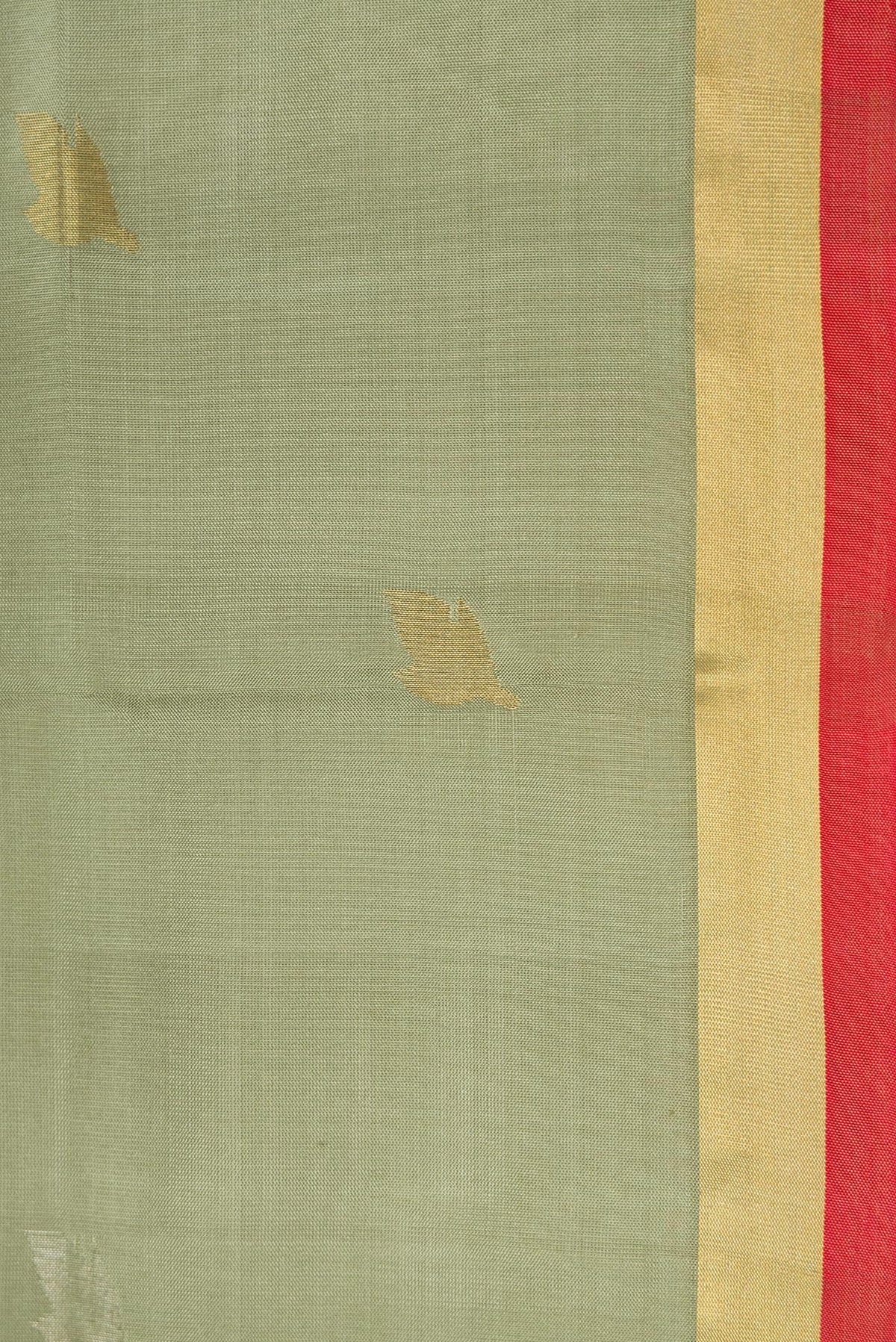 Border image of Light Green Dual Tone Soft Silk Saree with Zari Butta on the body and Zari Border. 
