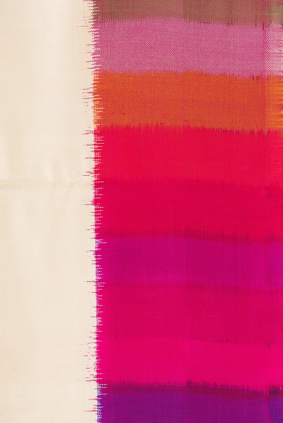 Border image of Off White Dual Tone Double Ikat Saree with Plain Body and Ikat Border. 