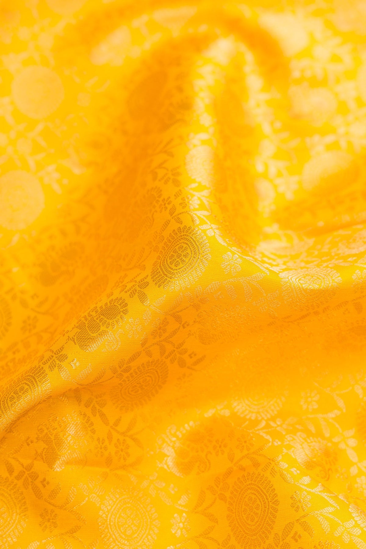 Close up of Yellow Dual Tone Kanjivaram Silk Saree with Zari Brocade on the body and Zari Border.  displaying folds