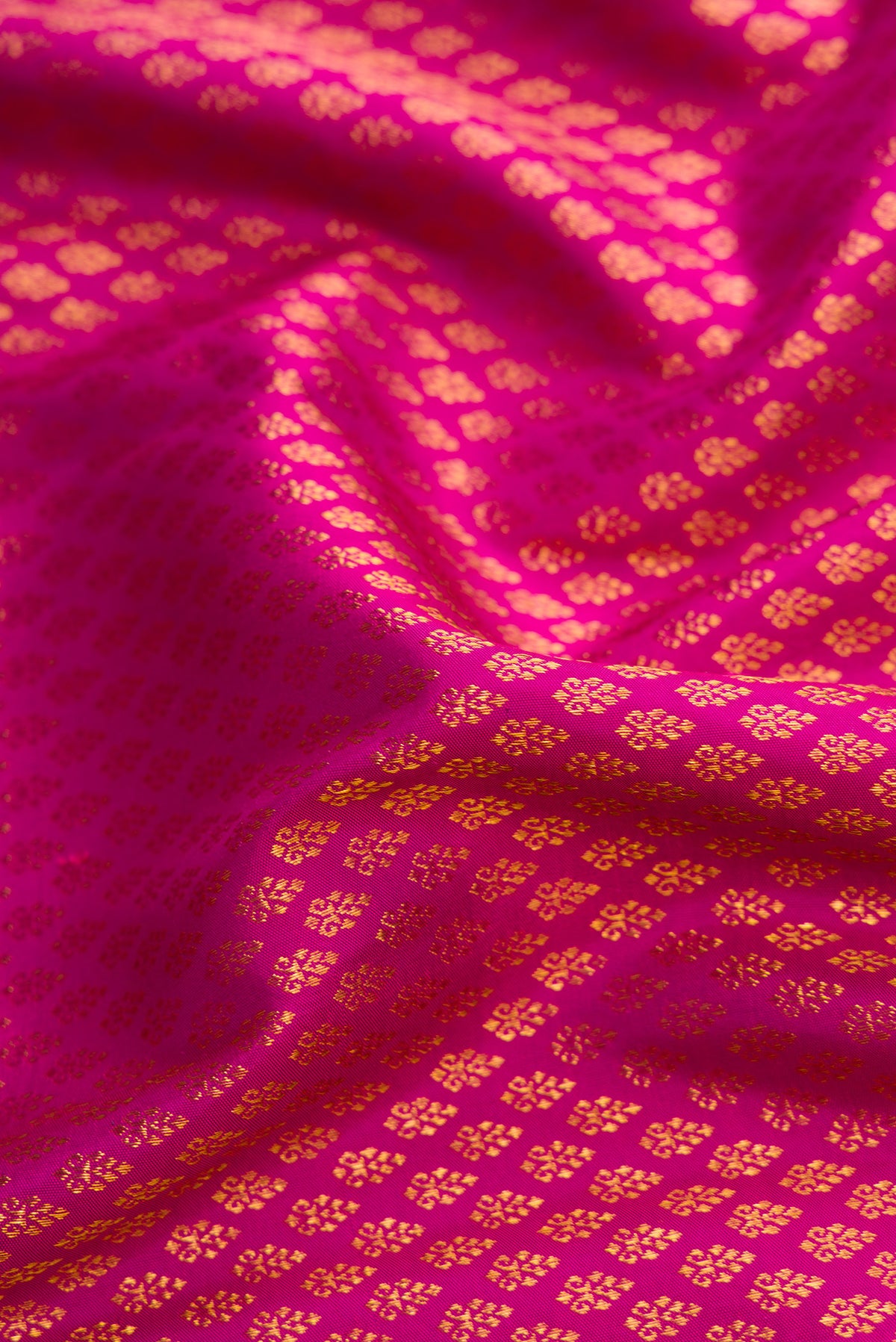 Close up of Magenta Kanjivaram Silk Saree with Zari Brocade on the body and Zari Border.  displaying folds