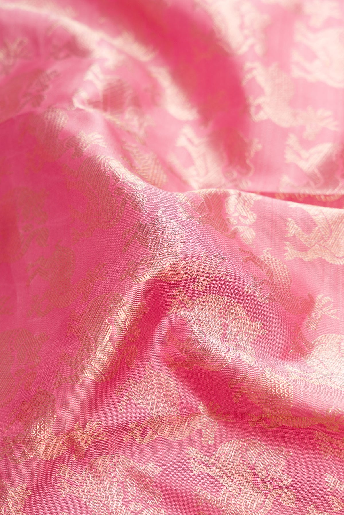 Close up of Rose pink Kanchipuram Silk Saree with Zari Brocade on the body and Zari Border.  displaying folds