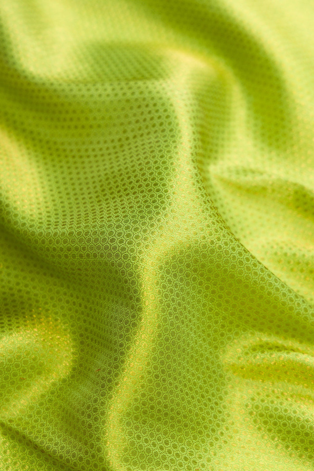 Close up of Parrot Green Dual Tone Kanchipuram Silk Saree with Zari Brocade on the body and Zari Border.  displaying folds
