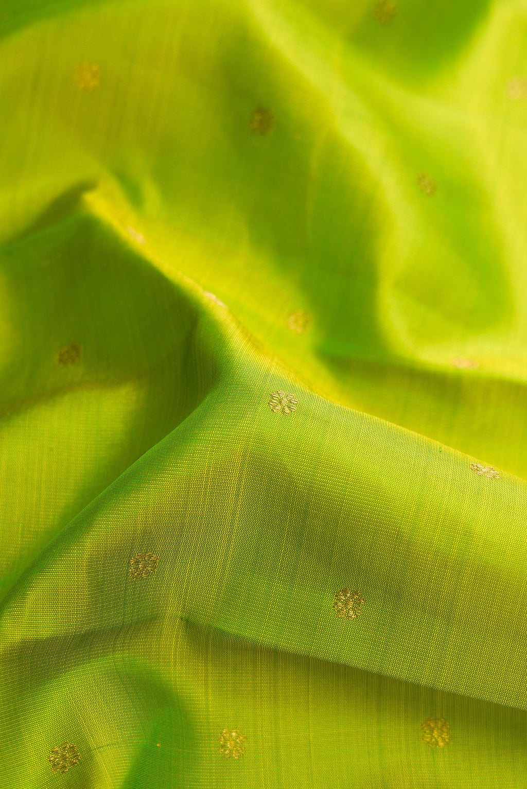 Close up of Pure Silk Pure Zari Parrot Green Dual Tone Kanjivaram Saree with Zari Butta on the body and Zari Border.  displaying folds