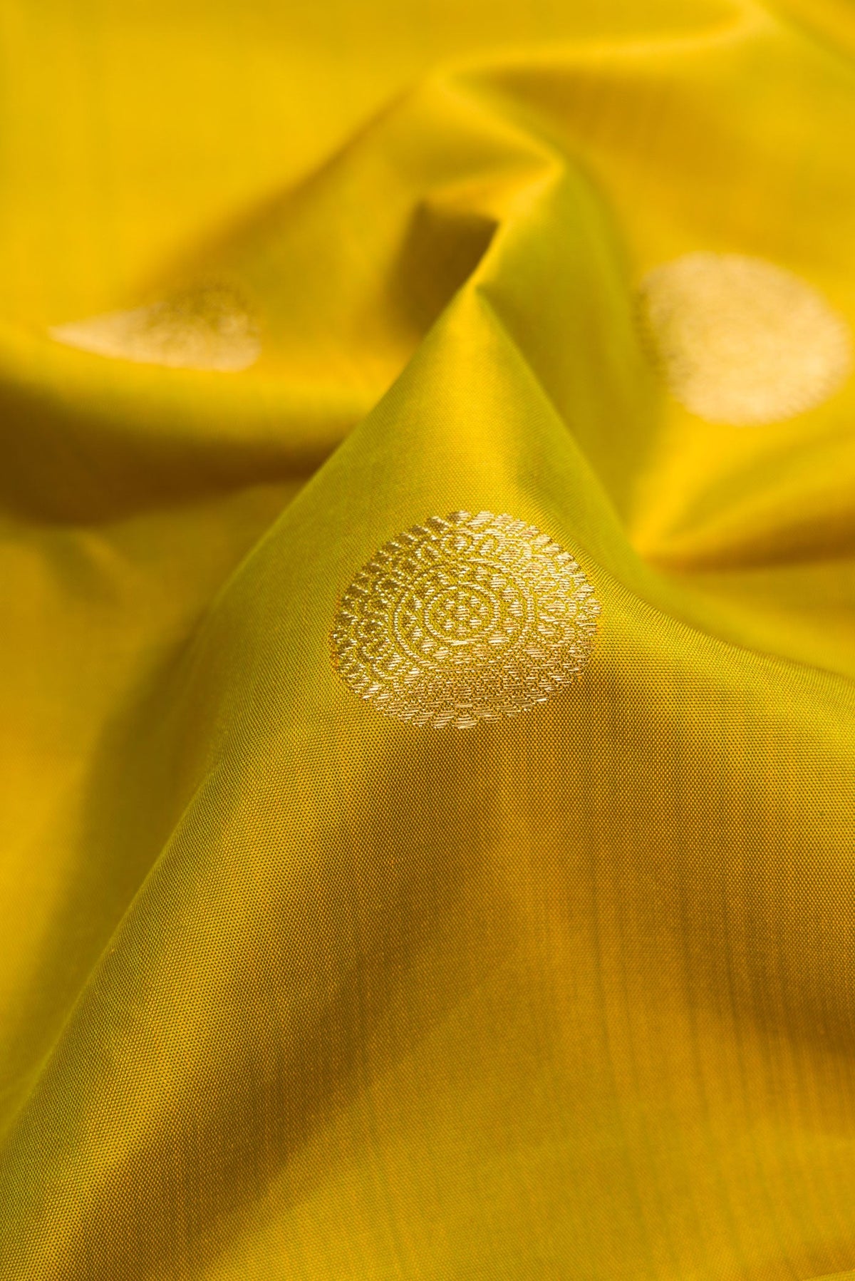 Close up of Pure Silk Pure Zari Mehandi Green Kanjivaram Saree with Zari Butta on the body and Zari Border.  displaying folds