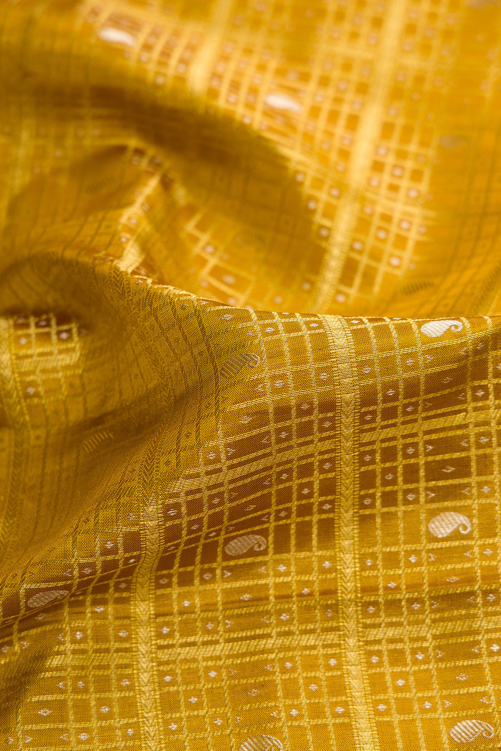 Close up of Mustard Kanchipuram Silk Saree with Zari Brocade on the body and Zari Border.  displaying folds