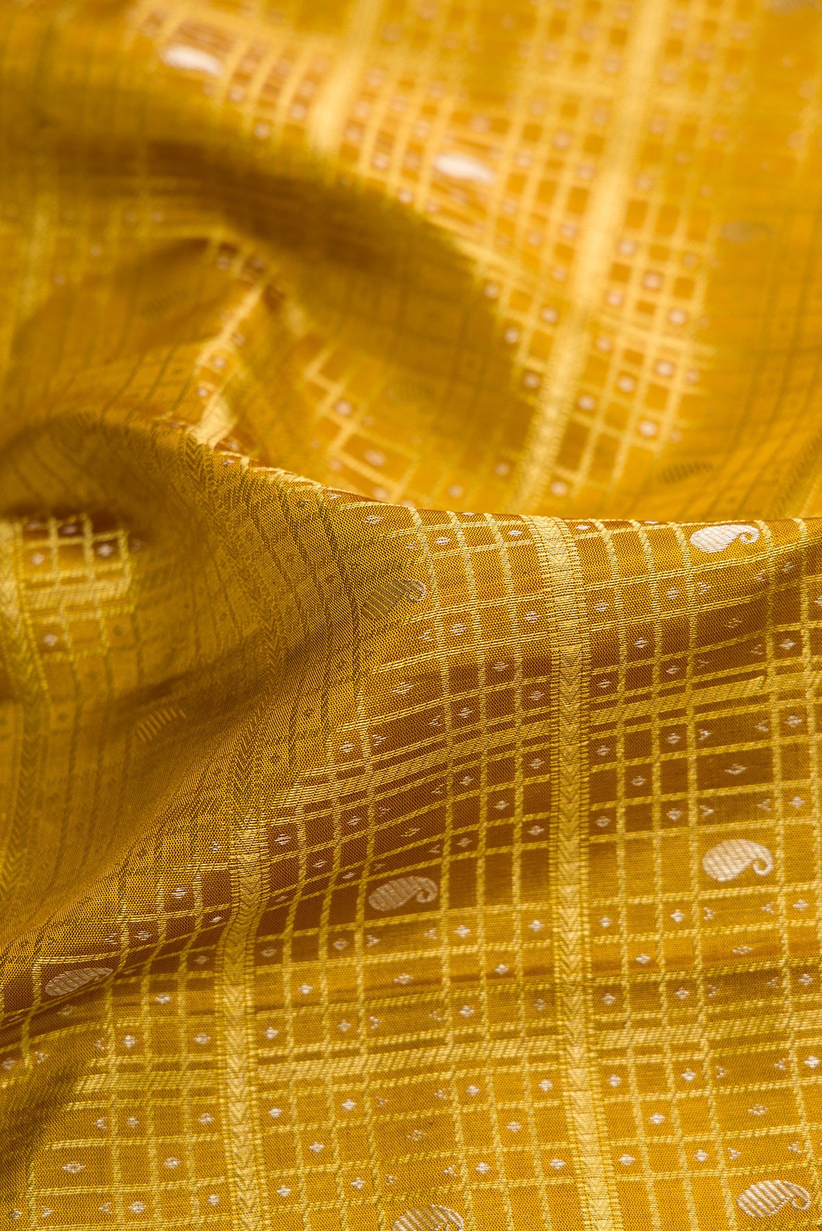 Close up of Mustard Kanchipuram Silk Saree with Zari Brocade on the body and Zari Border.  displaying folds