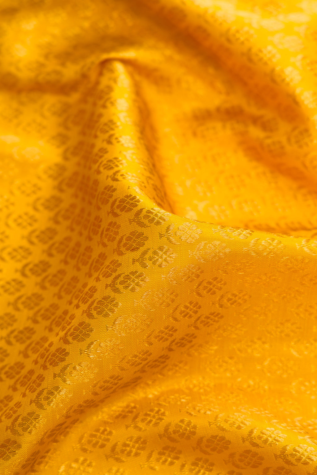 Close up of Yellow Kanchipuram Silk Saree with Zari Brocade on the body and Zari Border.  displaying folds
