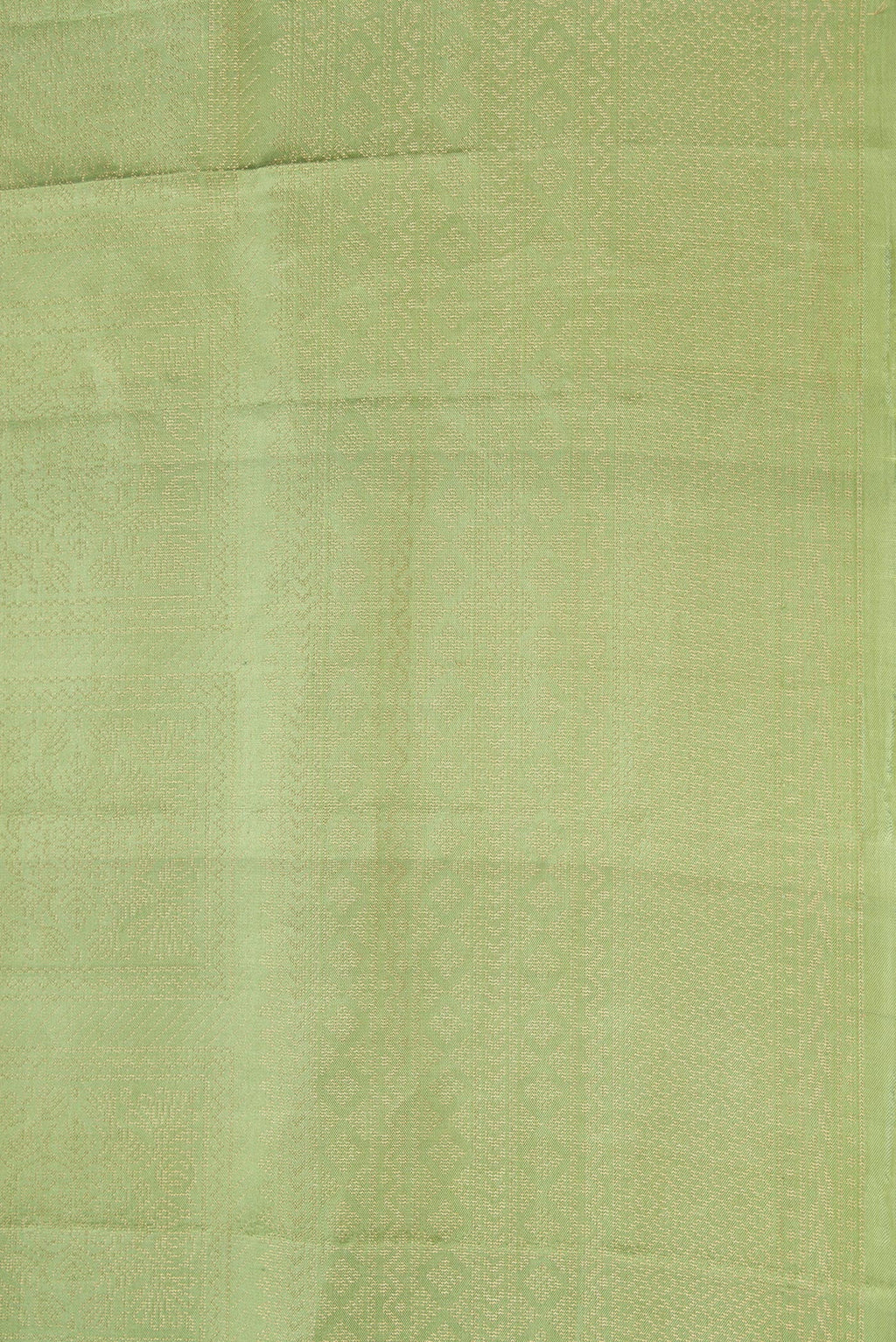 Border image of Green Dual Tone Soft Silk Saree with Zari Brocade on the body and Zari Border. 