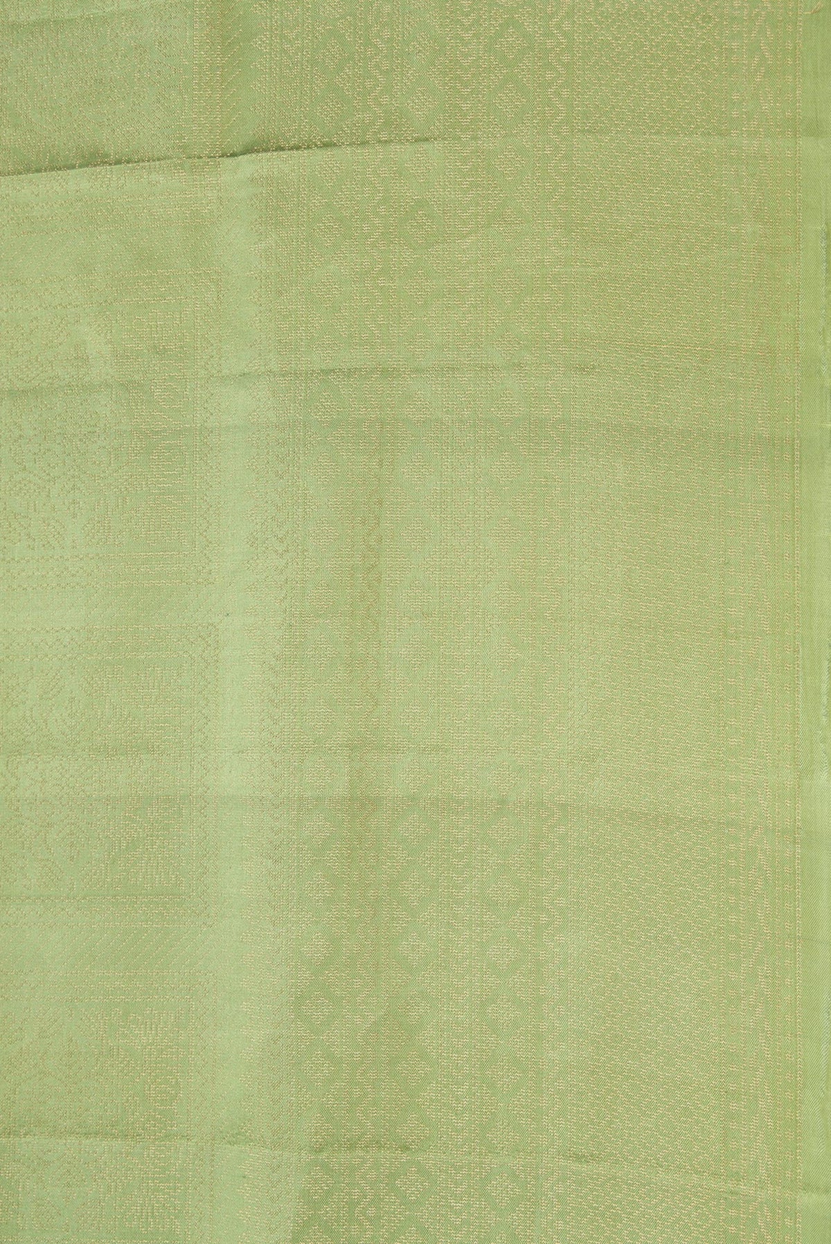 Border image of Green Dual Tone Soft Silk Saree with Zari Brocade on the body and Zari Border. 