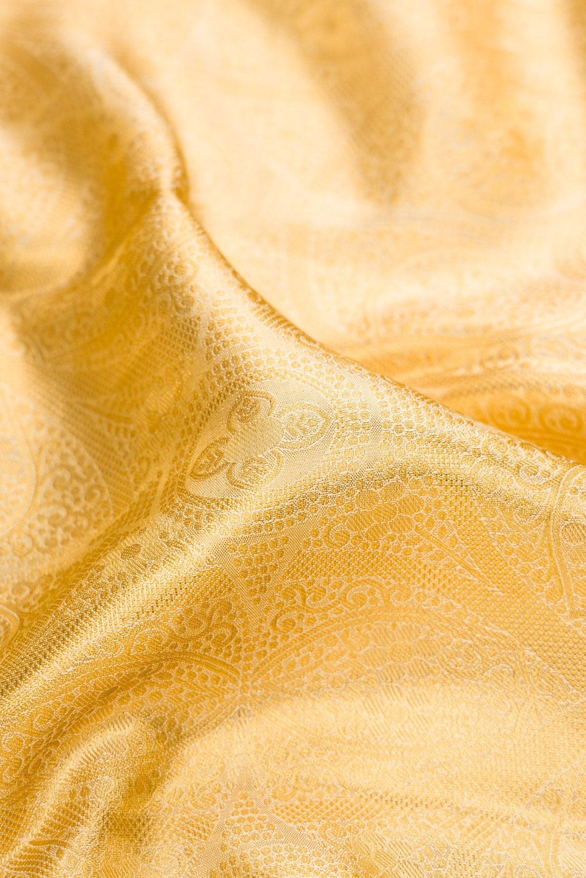 Close up of Gold Dual Tone Kanchipuram Tissue Silk Saree with Zari Brocade on the body and Zari Border.  displaying folds