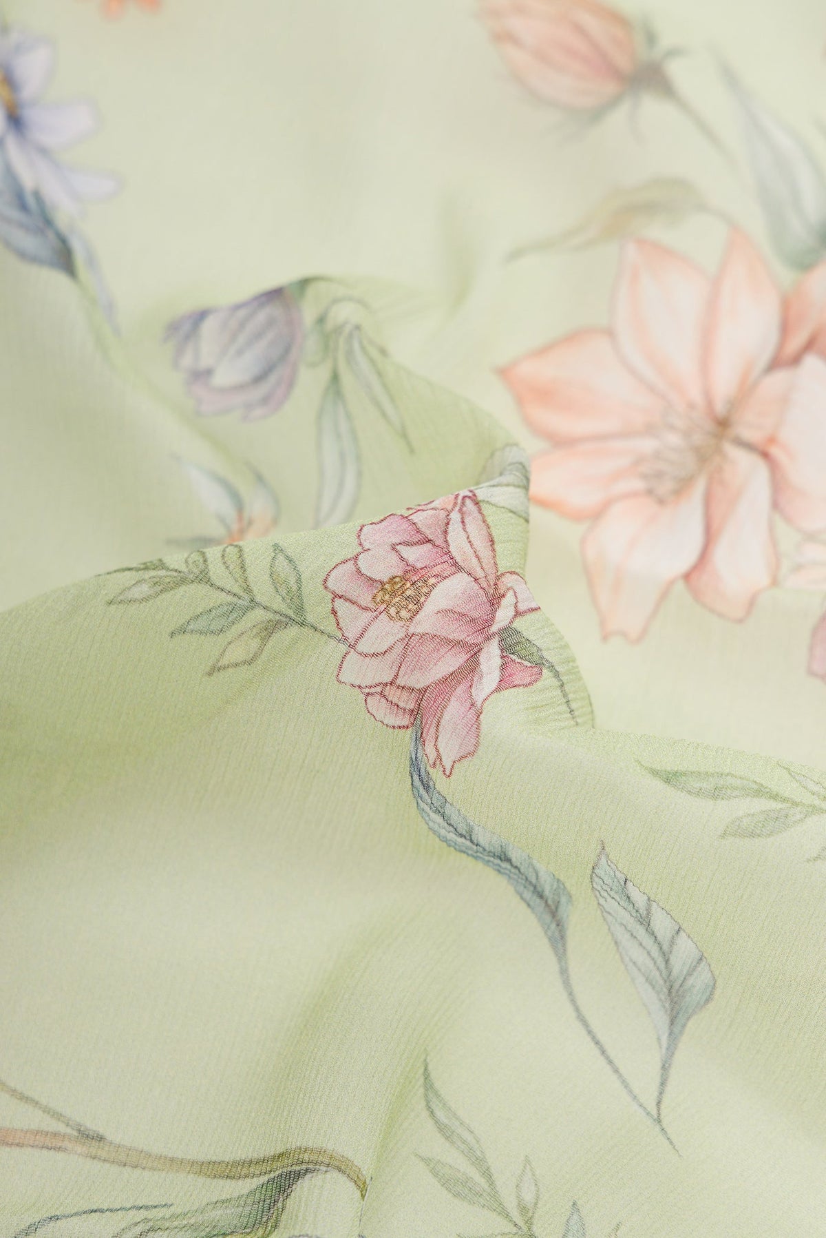 Close up of Light Green Dual Tone Mysore Chiffon Saree with Printed design on the body and Without Border.  displaying folds