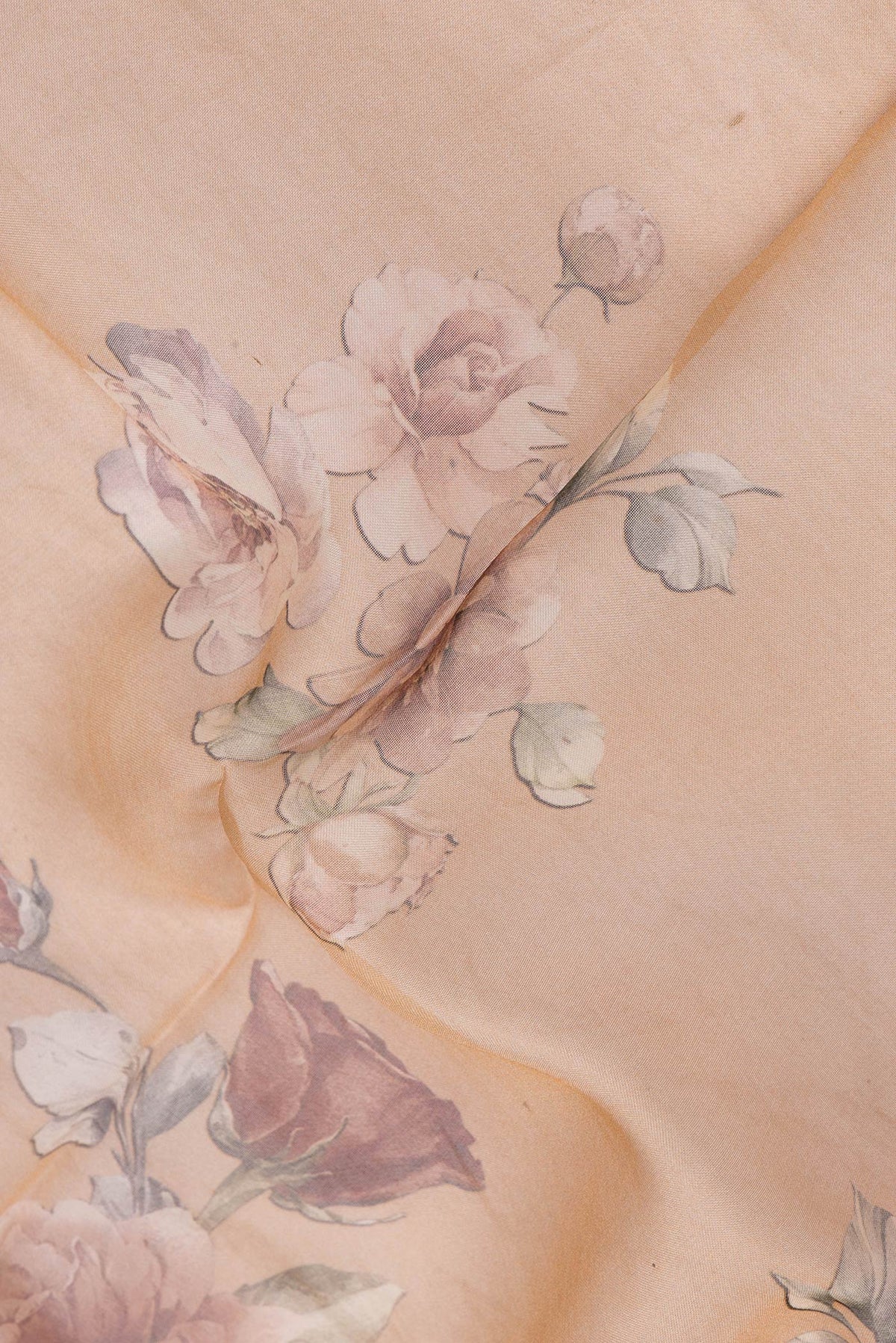 Close up of Golden Peach Dual Tone Organza Silk Saree with Printed design on the body and Without Border.  displaying folds