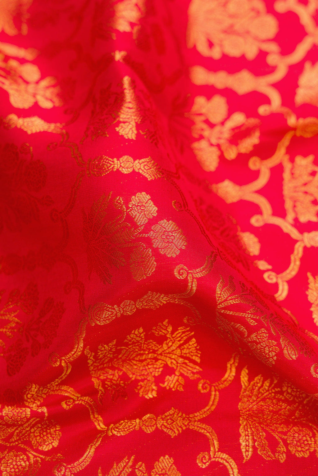 Close up of Red Kanchipuram Silk Saree with Zari Brocade on the body and Zari Border.  displaying folds