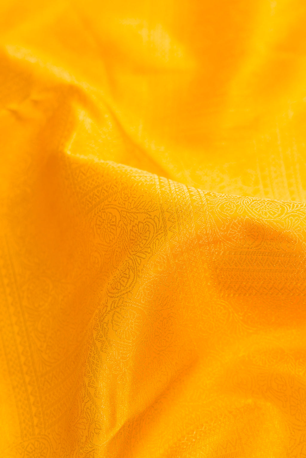 Close up of Yellow Kanjivaram Silk Saree with Zari Brocade on the body and Zari Border.  displaying folds