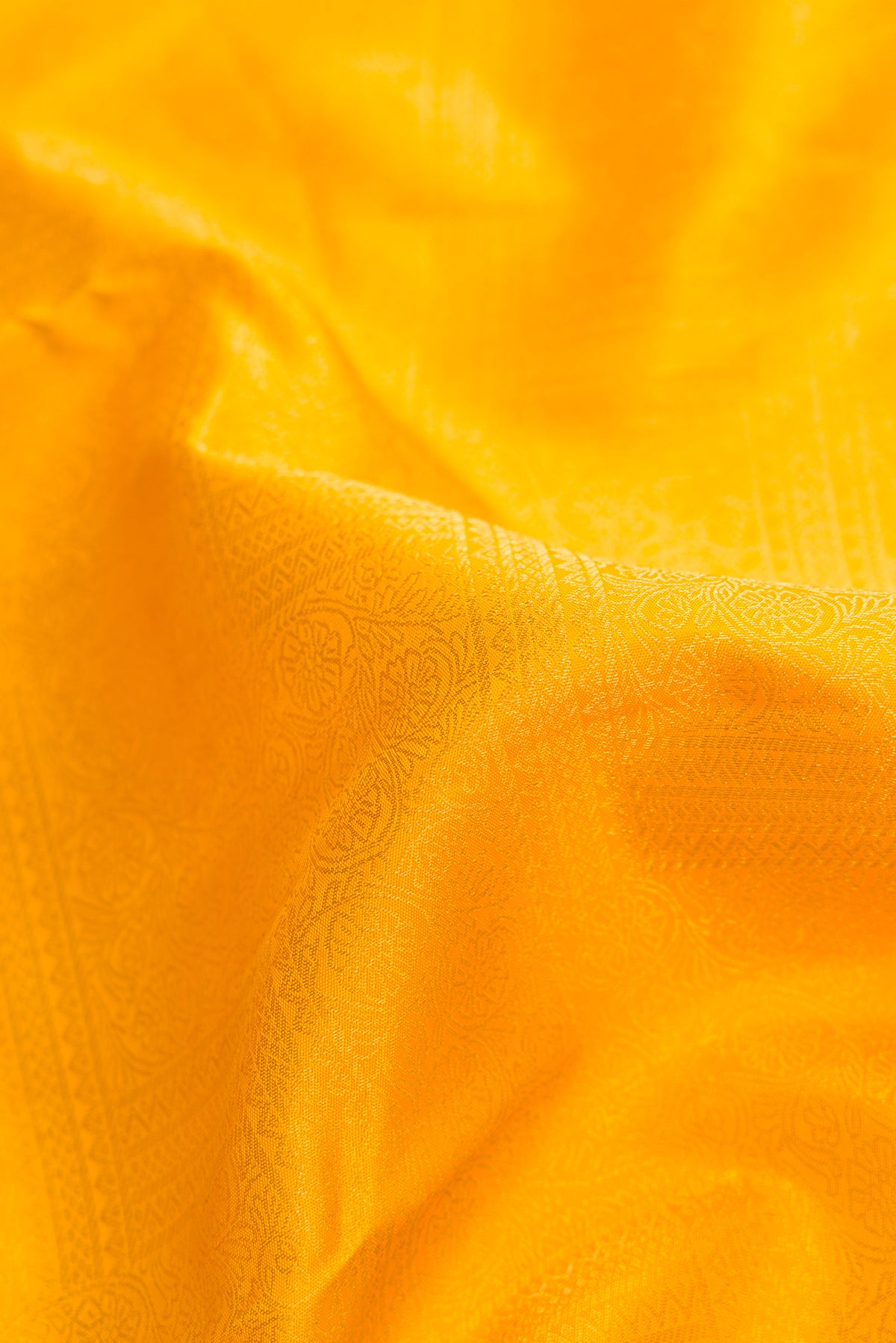 Close up of Yellow Kanjivaram Silk Saree with Zari Brocade on the body and Zari Border.  displaying folds