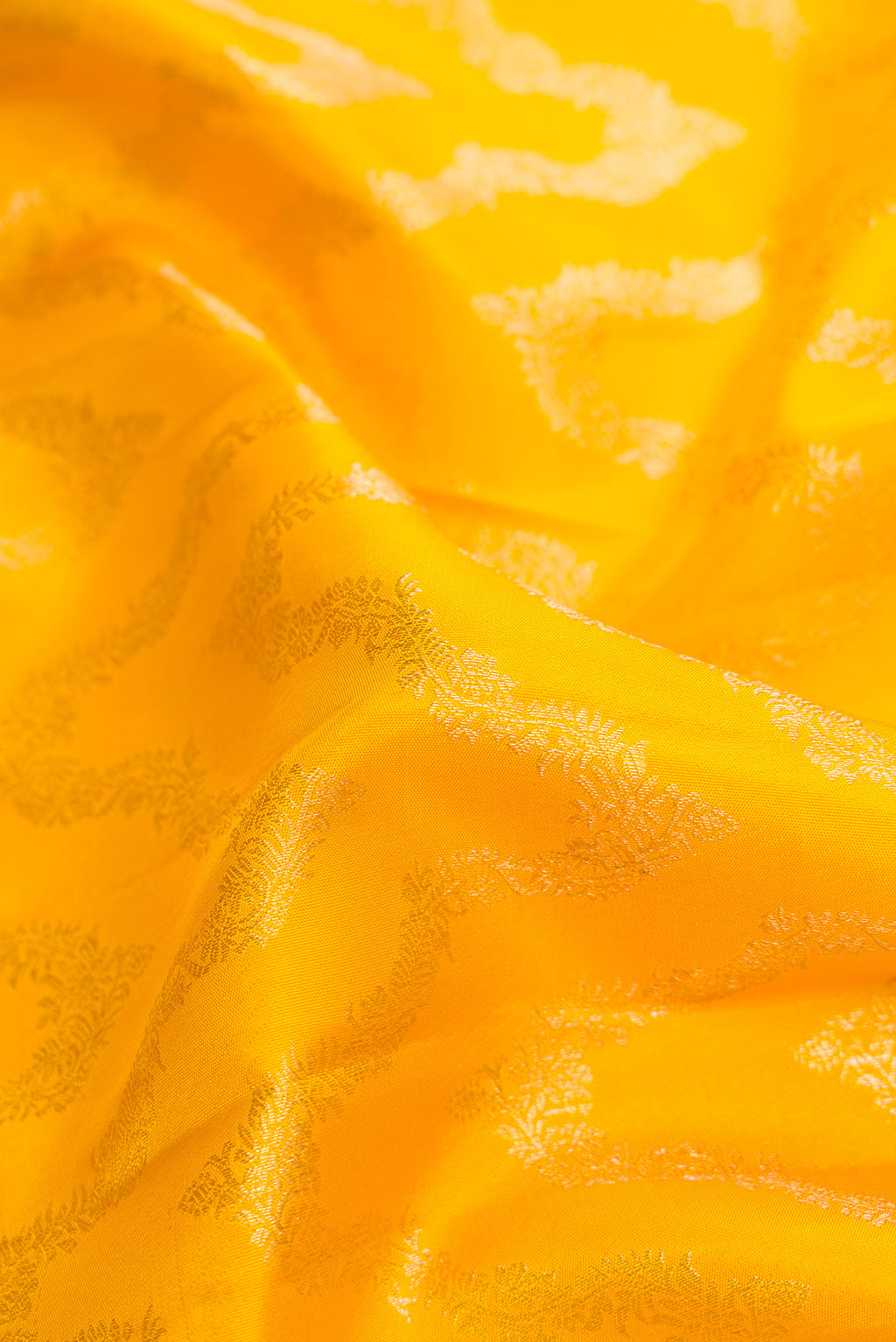 Close up of Yellow Kanjivaram Silk Saree with Zari Brocade on the body and Zari Border.  displaying folds