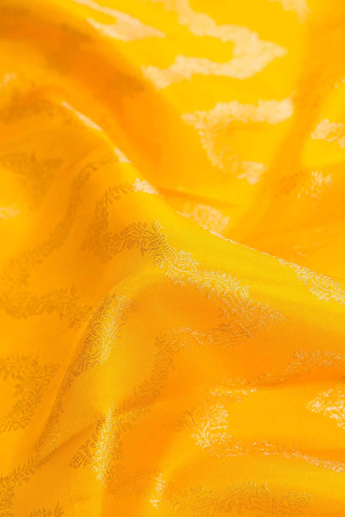 Close up of Yellow Kanjivaram Silk Saree with Zari Brocade on the body and Zari Border.  displaying folds