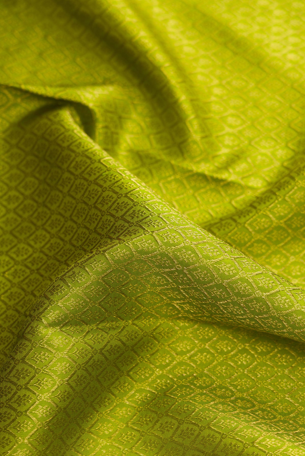 Close up of Green Kanjivaram Silk Saree with Zari Brocade on the body and Zari Border.  displaying folds