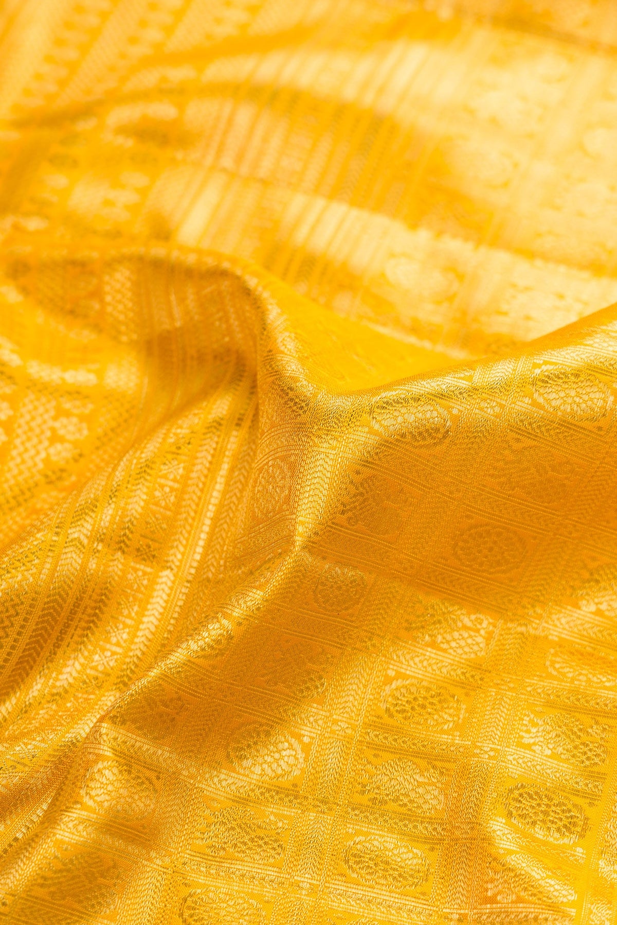 Close up of Yellow Dual Tone Kanjivaram Silk Saree with Zari Brocade on the body and Zari Border.  displaying folds