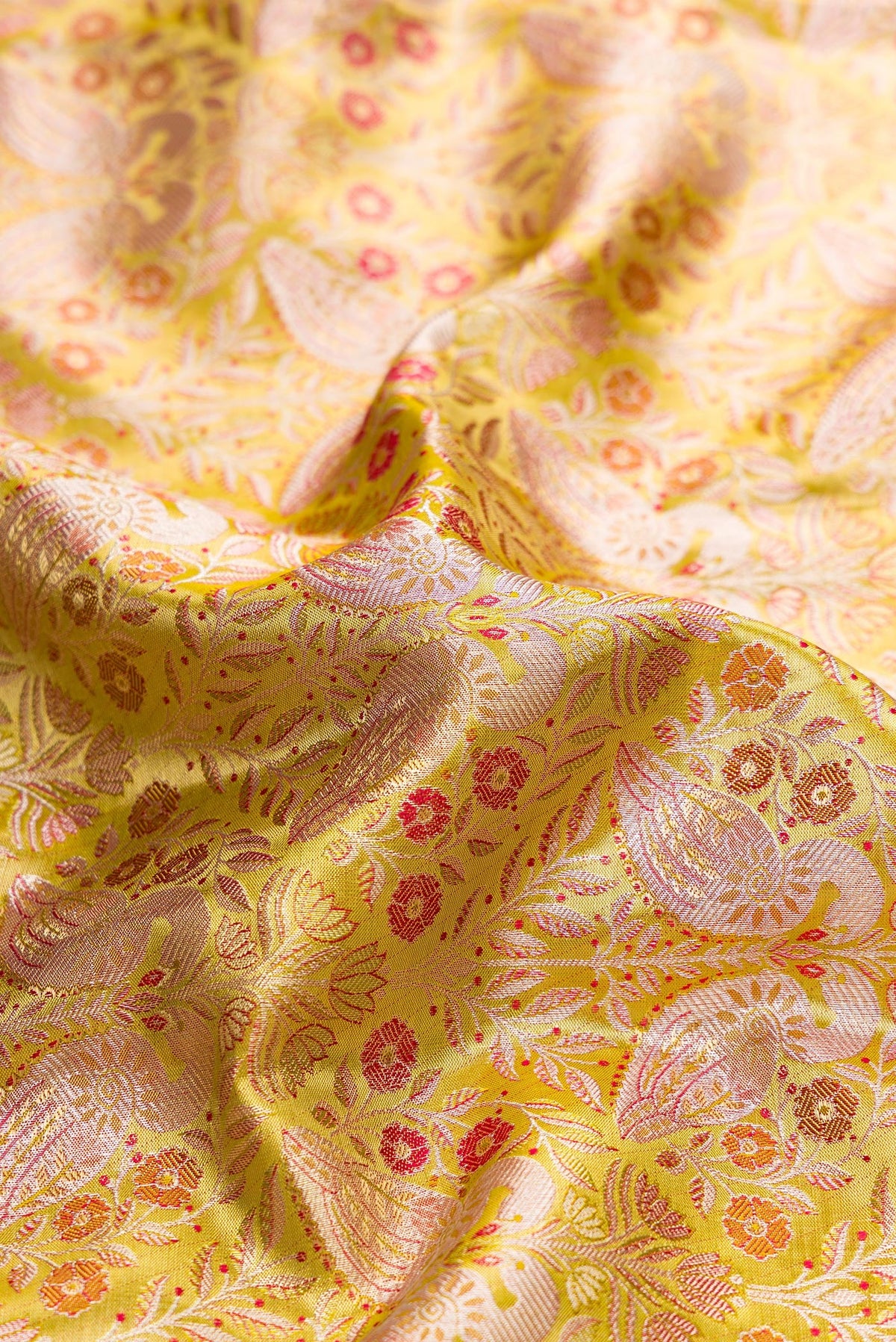 Close up of Light Green Dual Tone Kanchipuram Tissue Silk Saree with Zari Brocade on the body and Zari Border.  displaying folds