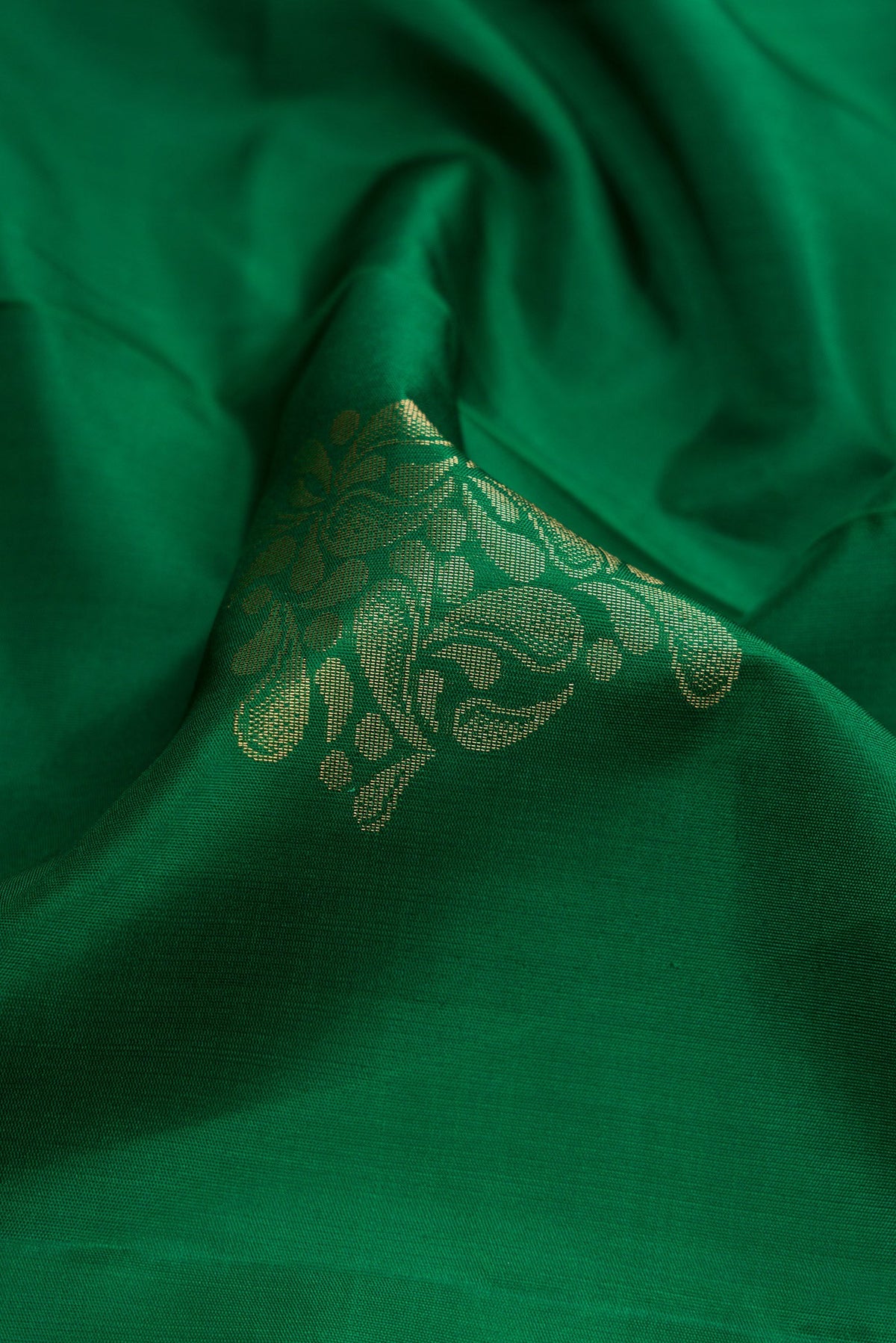 Close up of Bottle Green Dual Tone Soft Silk Saree with Zari Butta on the body and Zari Border.  displaying folds