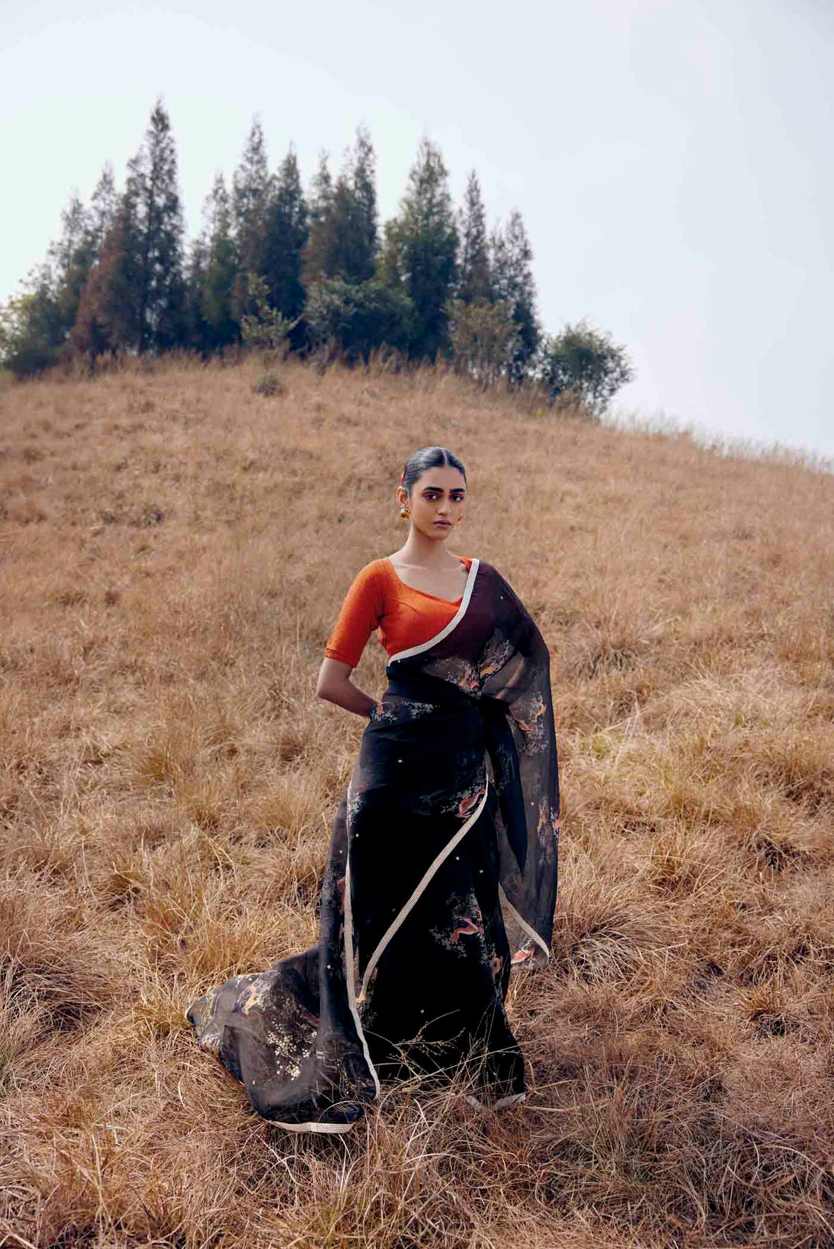 Leaping Deer-Black Pure Organza Silk Saree