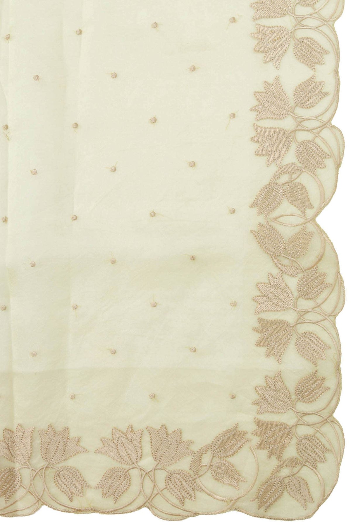 Piety of a Lili Cream floral design saree from Embroidered Romance Collection by Nalli
