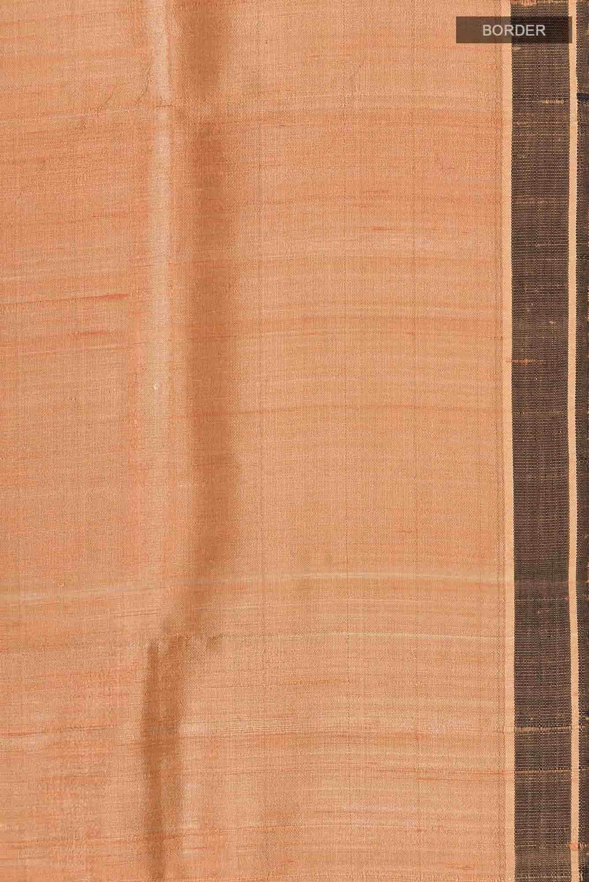 Espresso Shadow-Copper Tussar Silk Saree