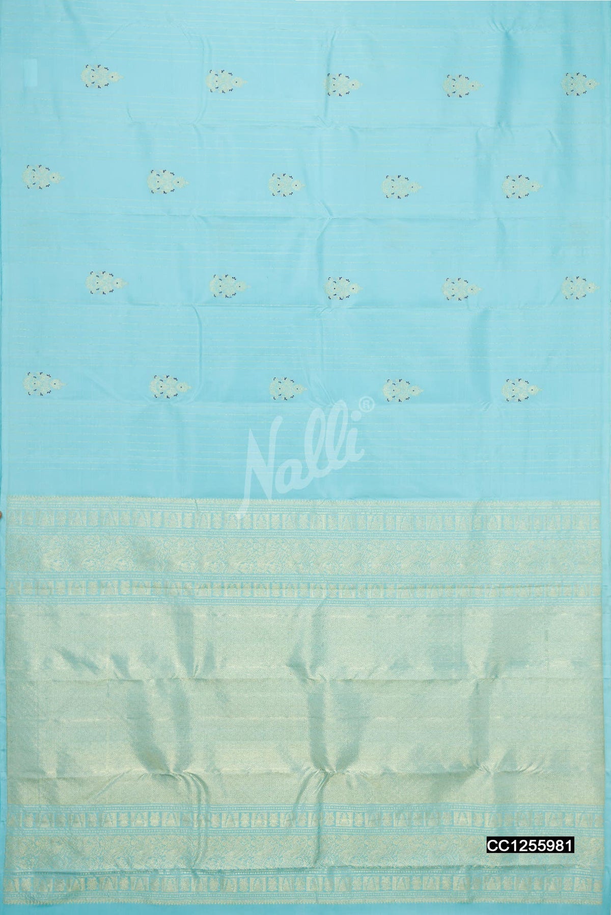 Sky Blue Kanchipuram Silk Saree