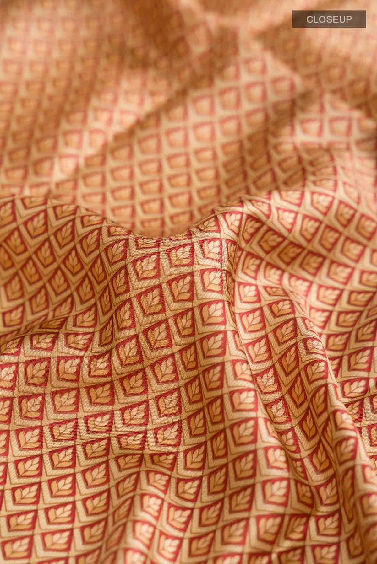 Beige Printed Silk Saree