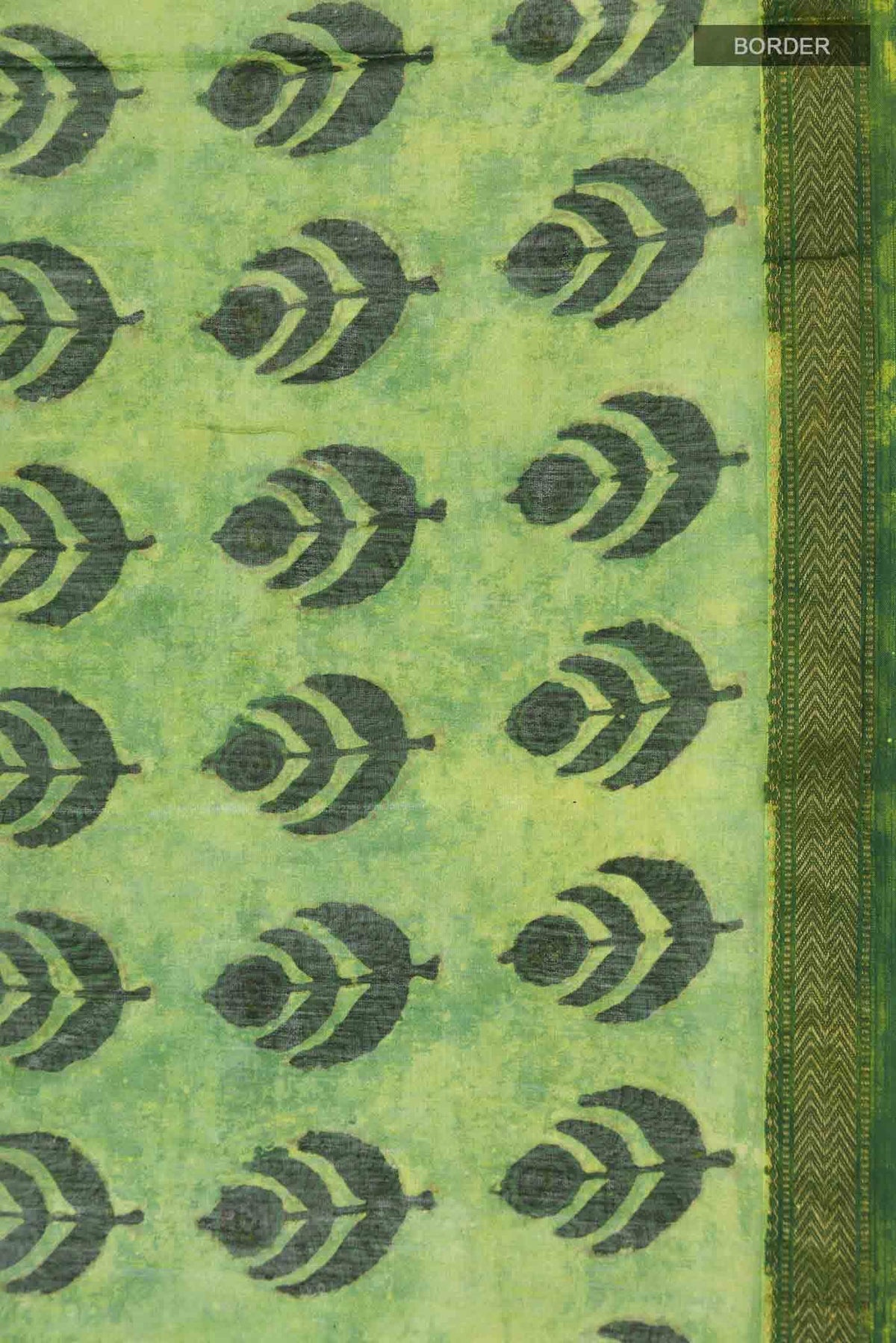 Green Chanderi Silk Cotton Saree