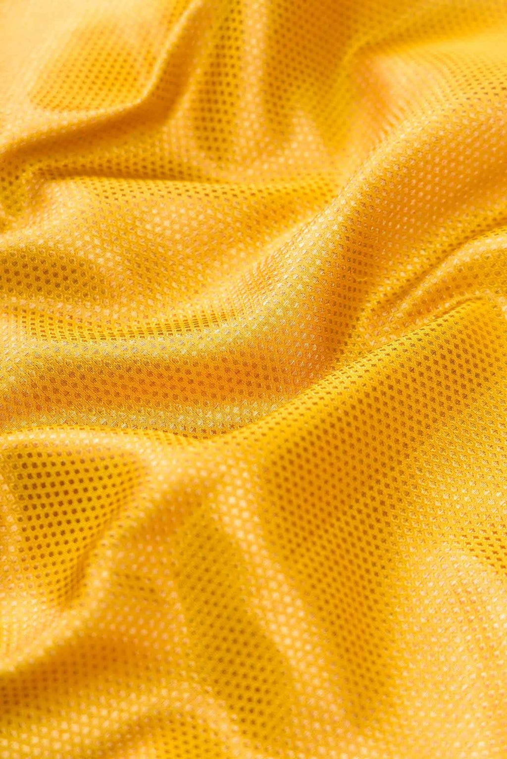 Pure Silk Pure Zari Gold Dual Tone Kanjivaram Saree