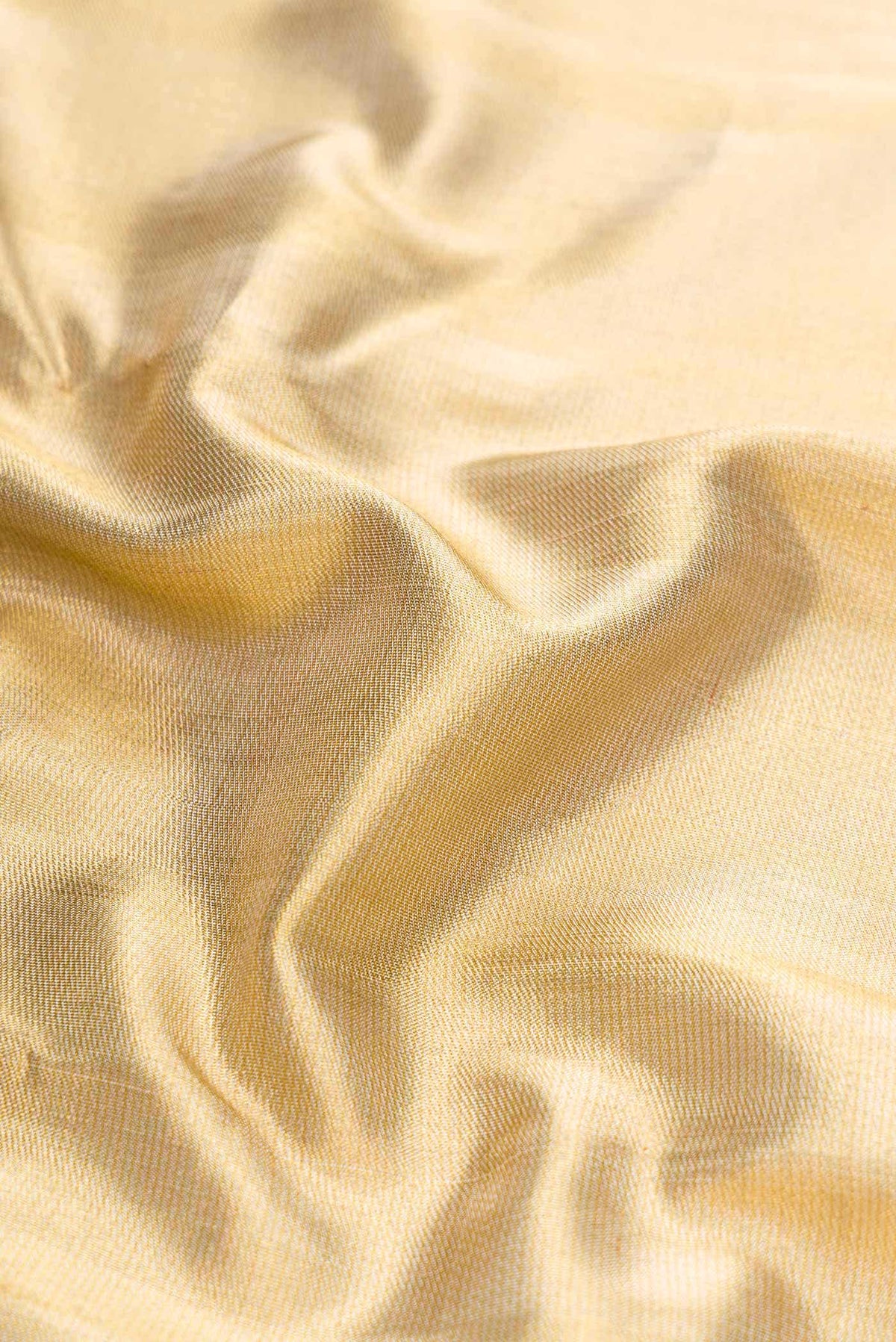 Kanjivaram Tissue Silk