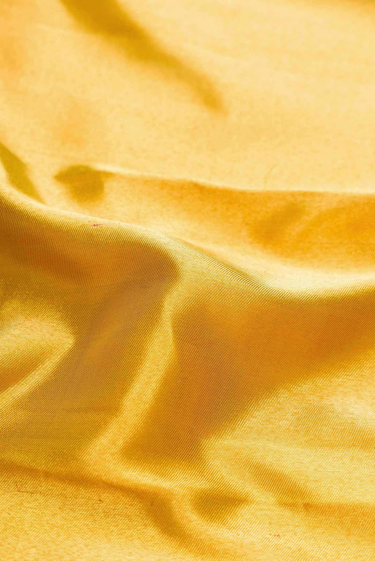 Pure Silk Pure Zari Gold Dual Tone Kanjivaram Tissue Saree