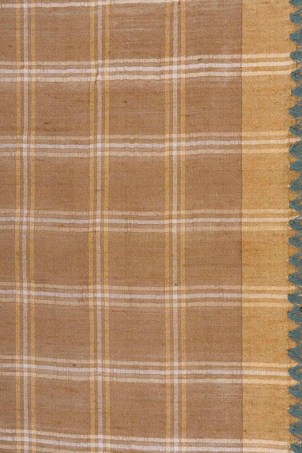 Dark Beige Dual Tone Tussar Silk Saree